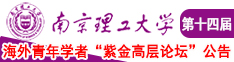 啊啊啊别揉我乳头文章南京理工大学第十四届海外青年学者紫金论坛诚邀海内外英才！